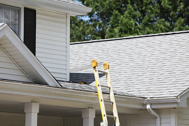 Best Hoarding Cleanup  in Soh Willard, UT